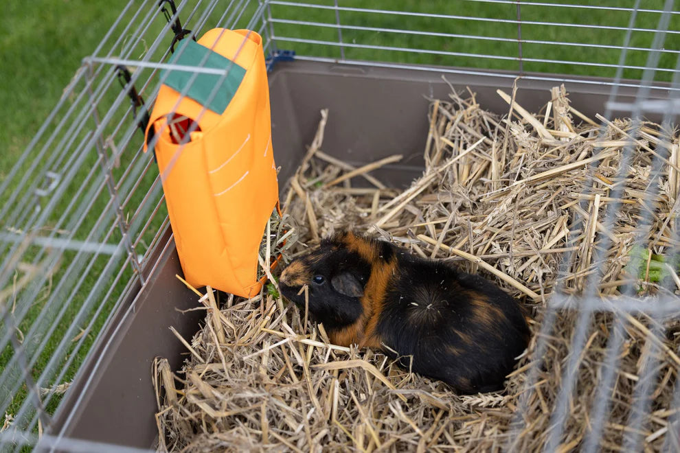 House of Paws Carrot Hay Bag Feeder