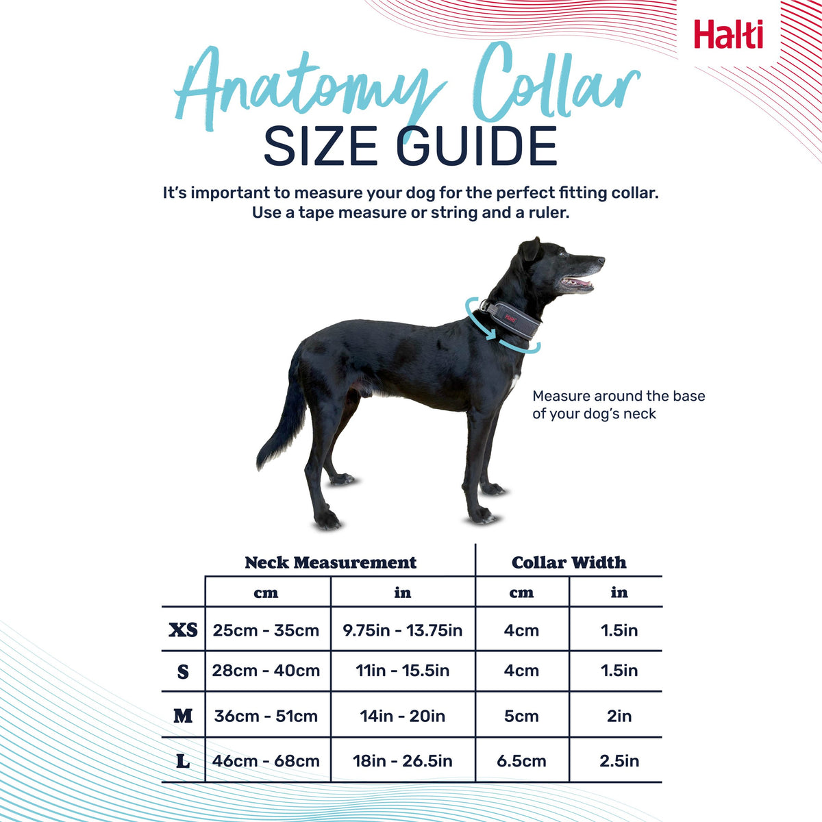 Company Of Animals Halti Anatomy Collar Wide Grey