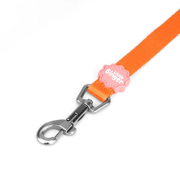 Little Ginger Two-Tone Lead Tutti-Fruity 120cm