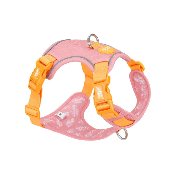 Little Ginger Control Harness Tutti-Fruity