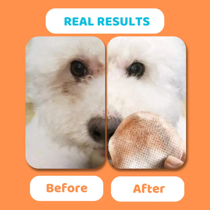 Dogslife Eye Wipes - 100 Pack