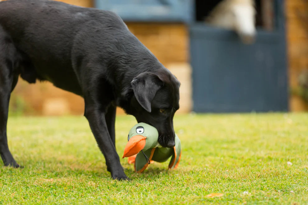 House of Paws Duck! Canvas Thrower Dog Toy Khaki