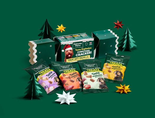 Natures Menu Christmas Cracker - 4x15g Bites