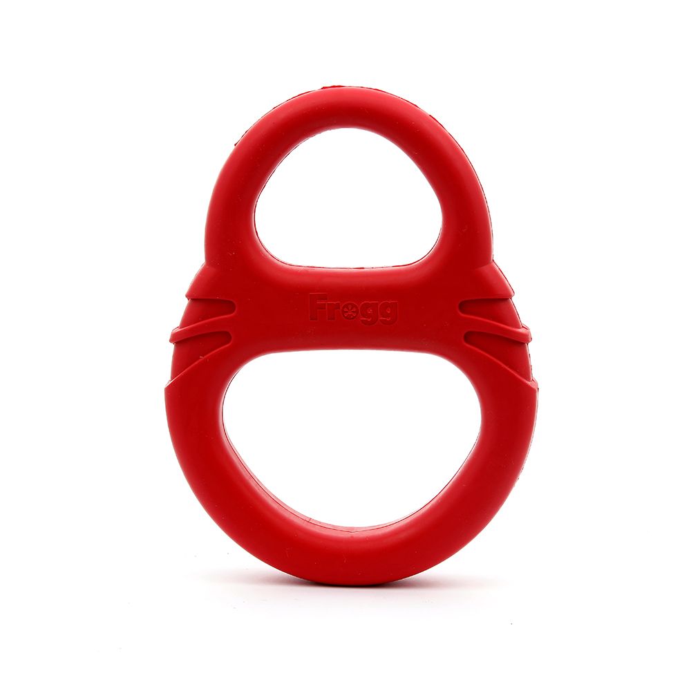 Frogg Tug of Paw Dog Toy