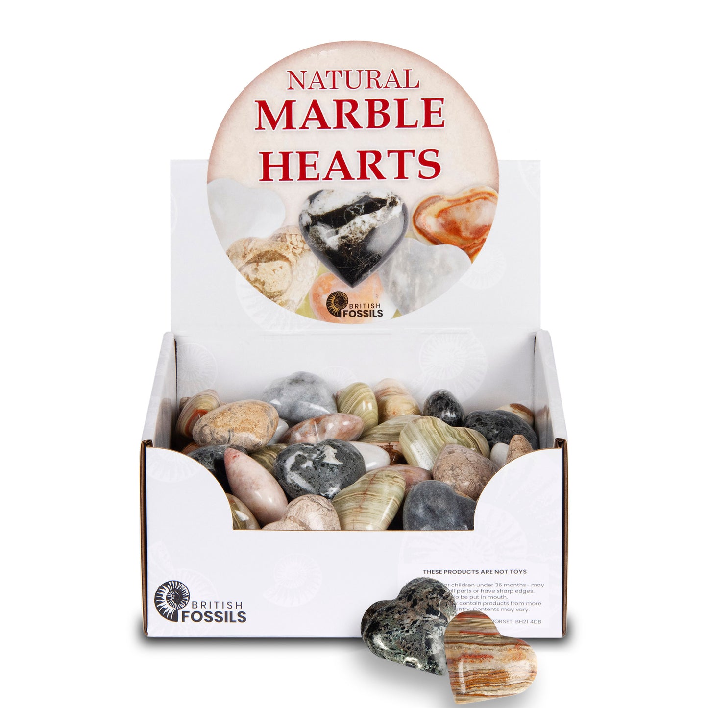British Fossils - Natural Marble Heart