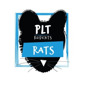 PLT Frozen Rat