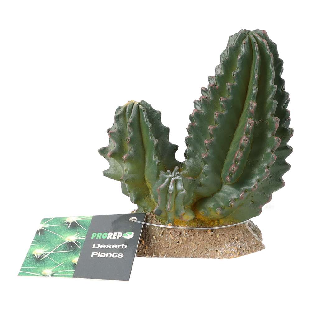 ProRep Cactus Group