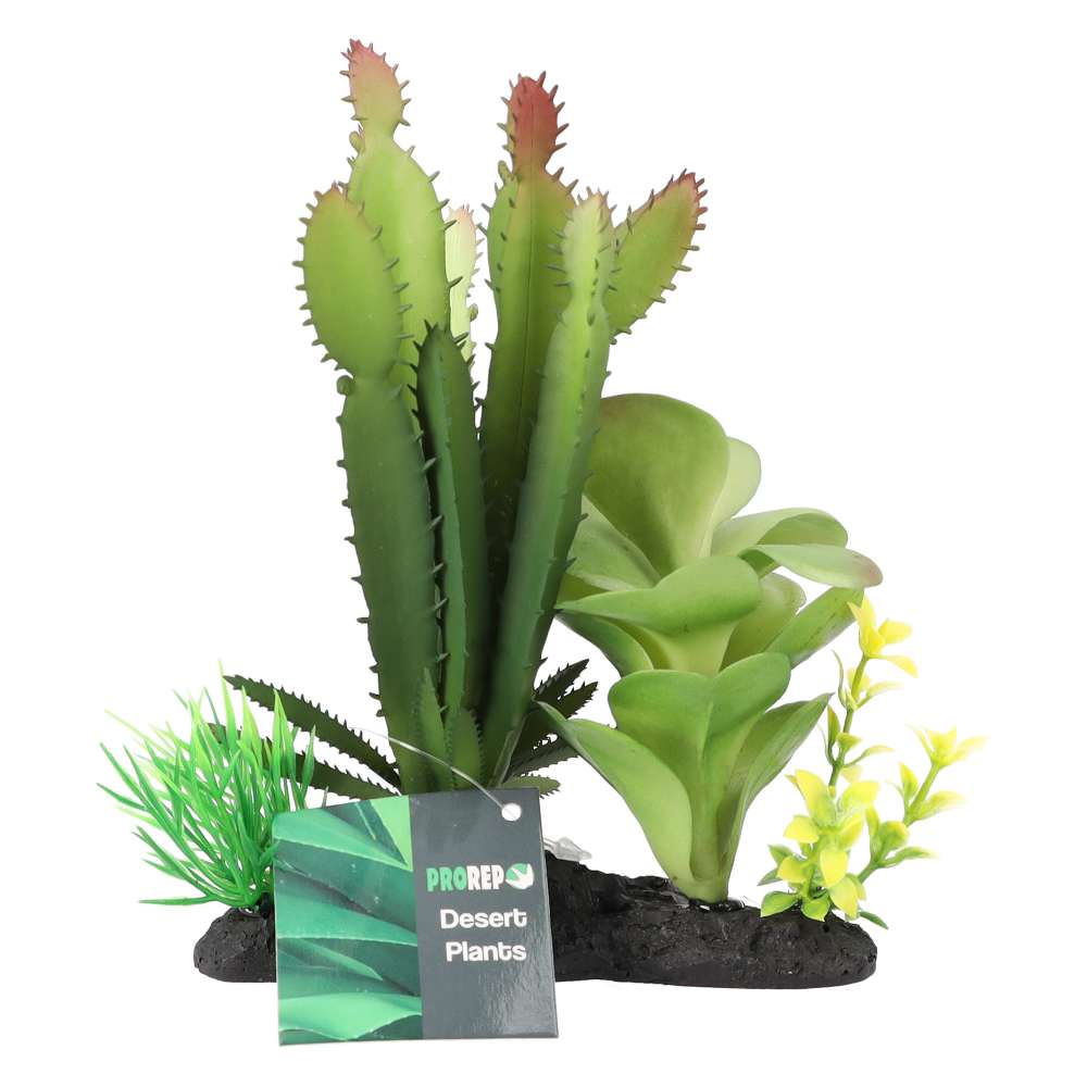ProRep Euphorbia Plant on Log 15cm