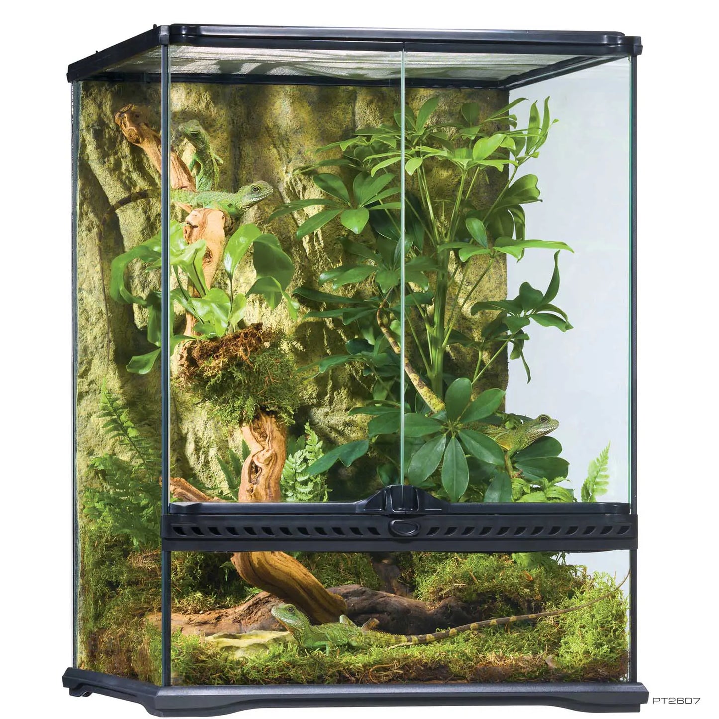 Exo Terra Natural Terrarium Small Tall - 45x45x60