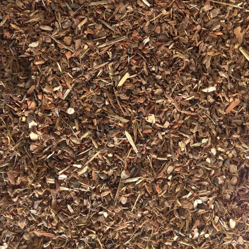 Exo Terra Jungle Earth