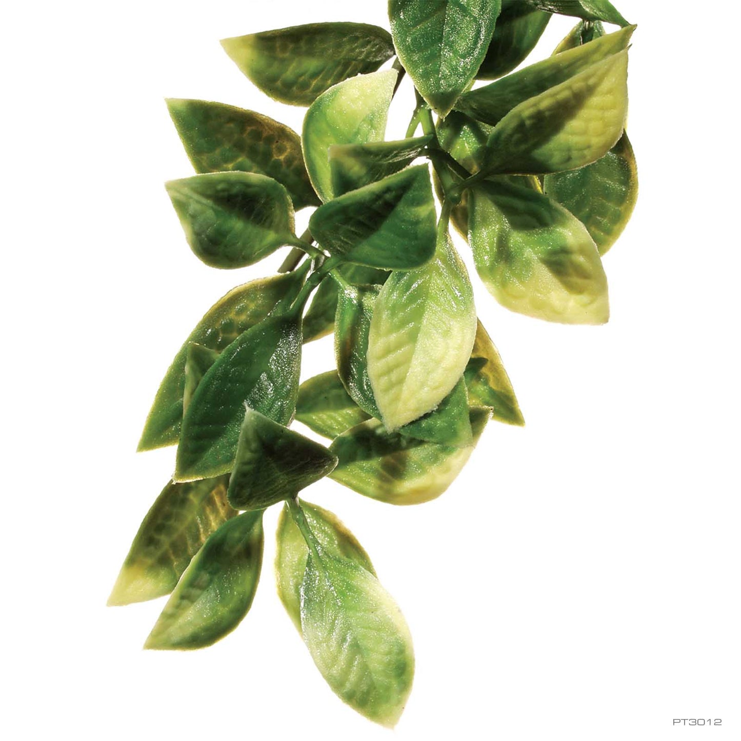 Exo Terra Jungle Plant Mandarin - Medium