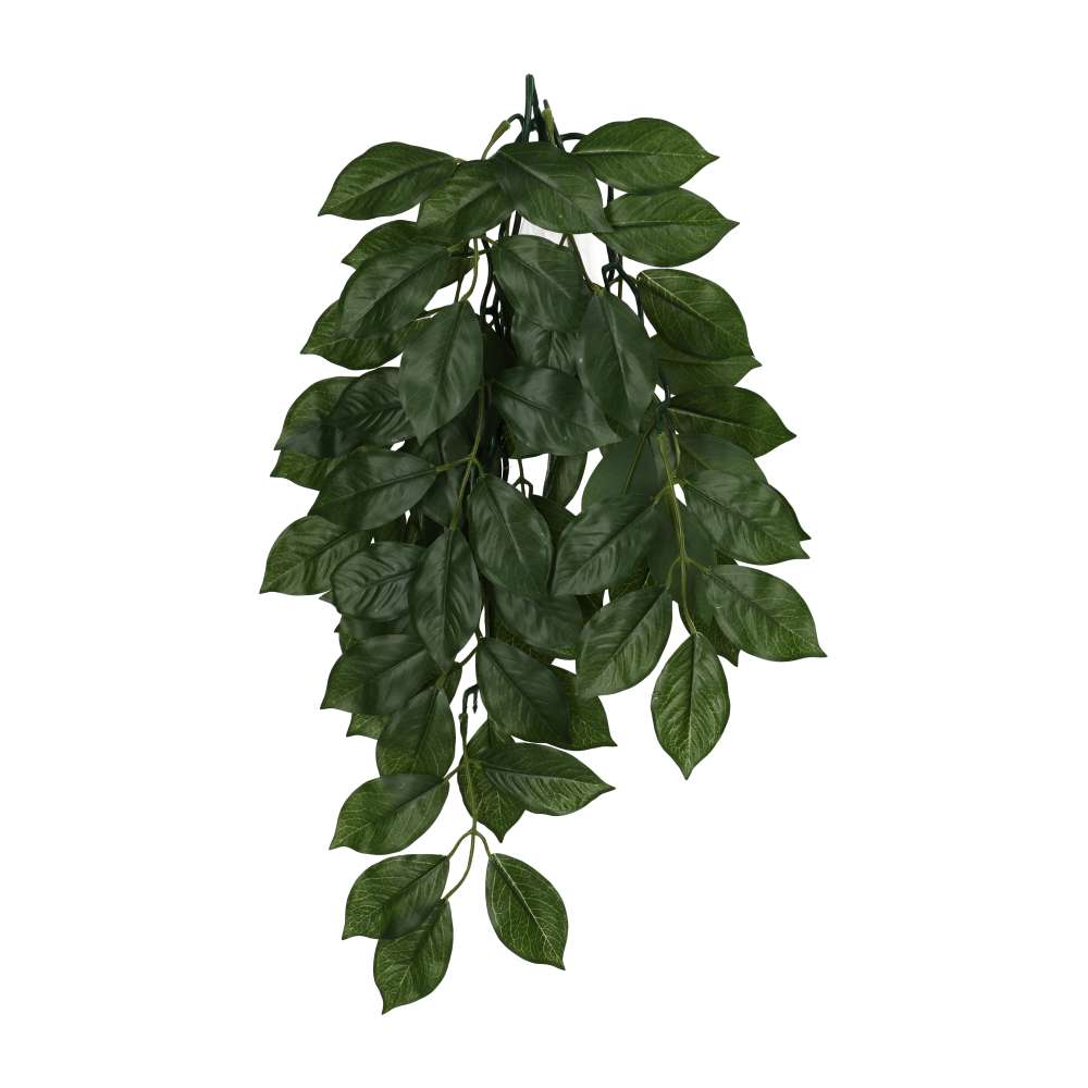 ProRep Silk Hanging Plant Weeping Fig