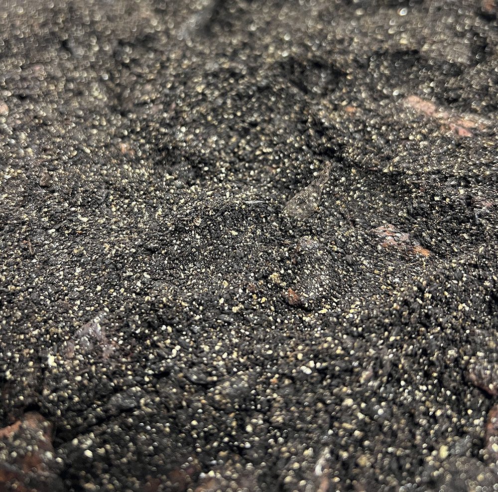 ProRep Spider Life Substrate 5 Litre