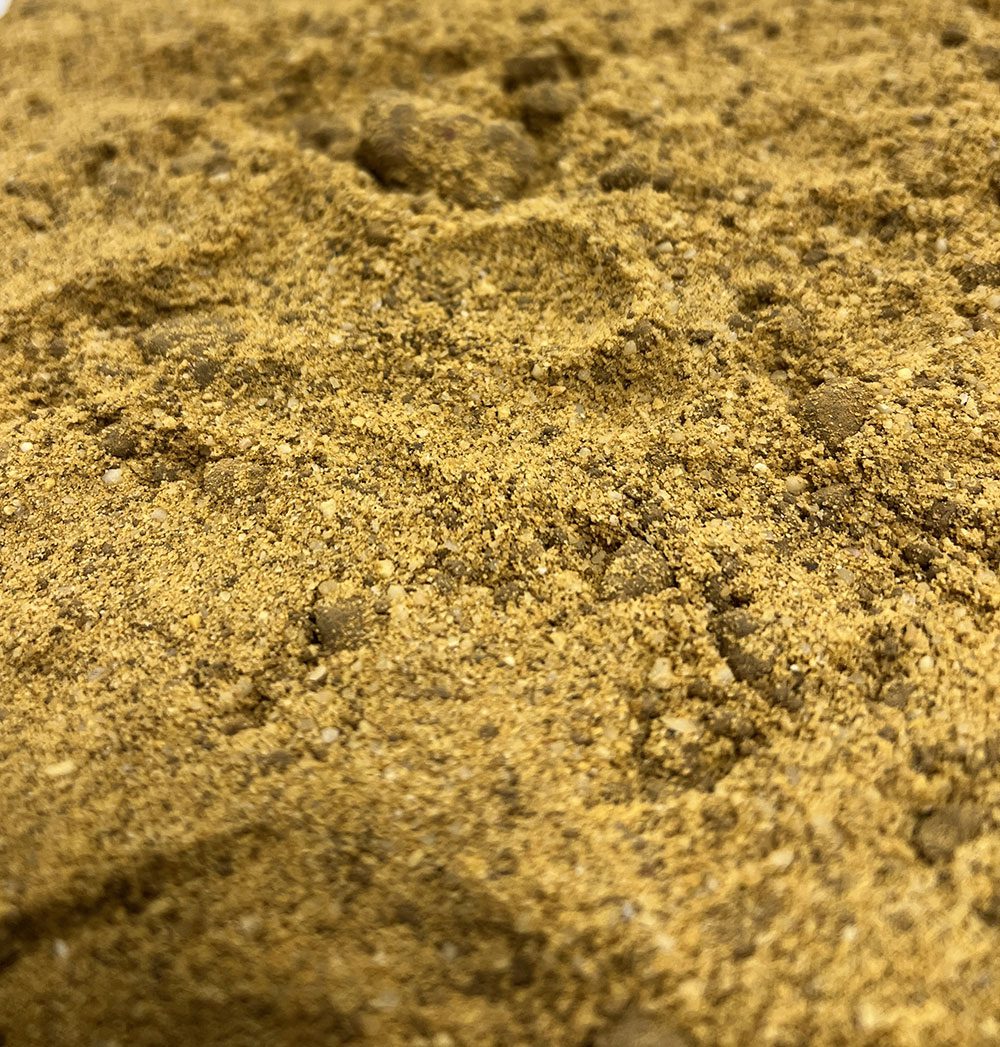 ProRep Leo Life Substrate 10Kg