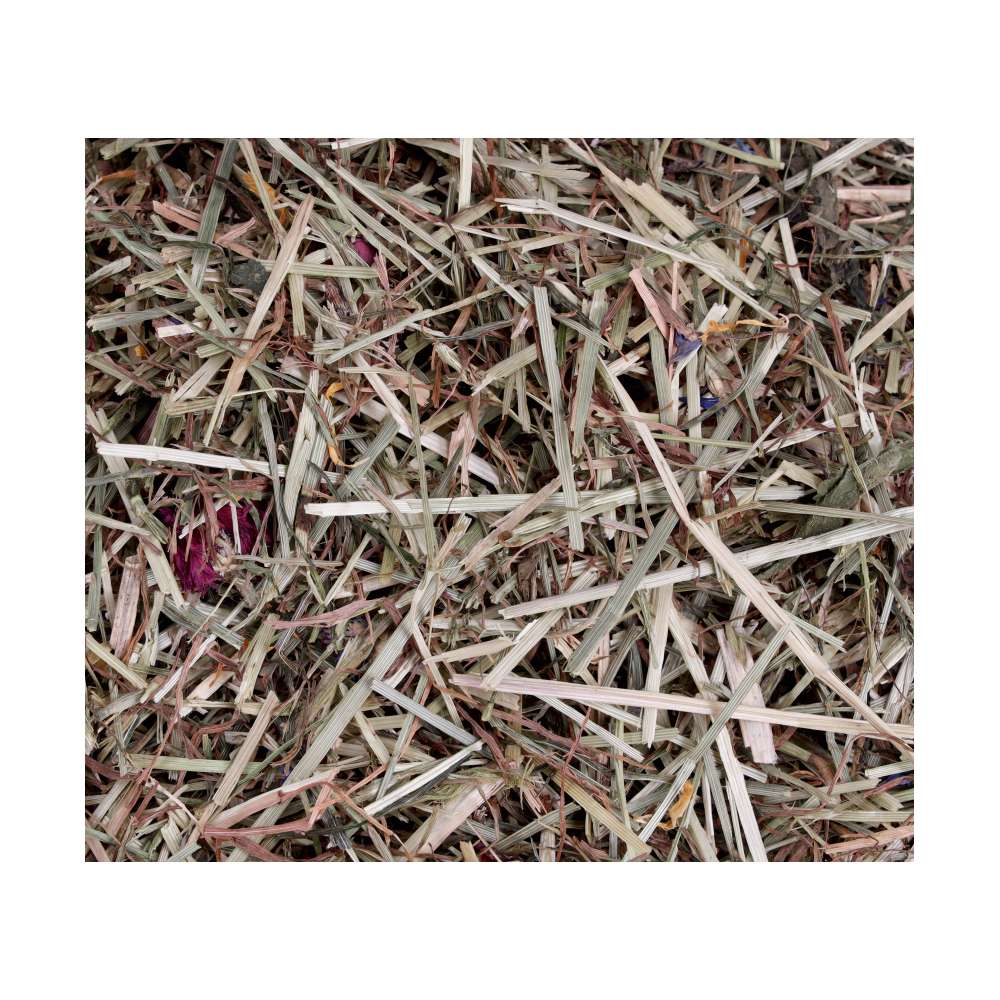 ProRep Tortoise Life Edible 10L