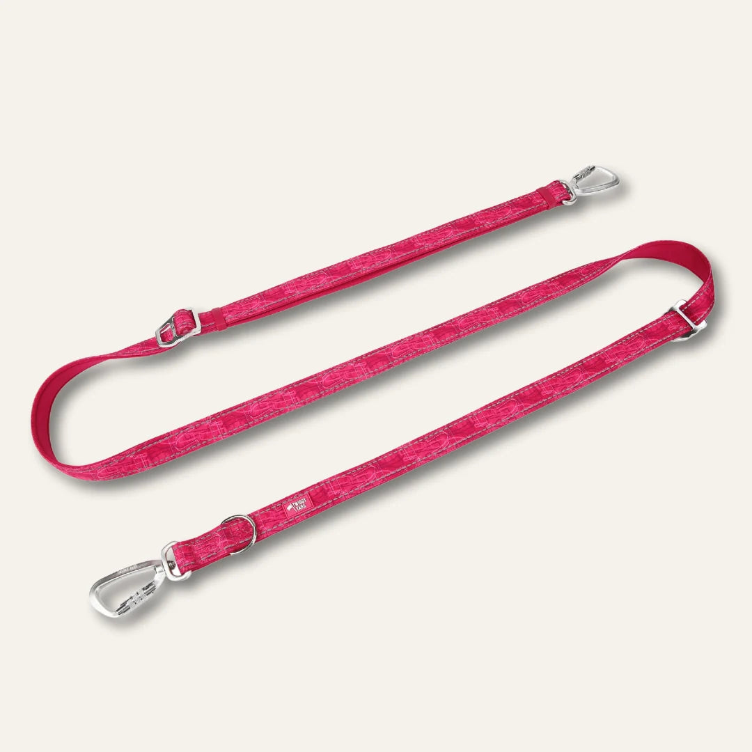 Twiggy Tags Multi-Way Lead - Sakura