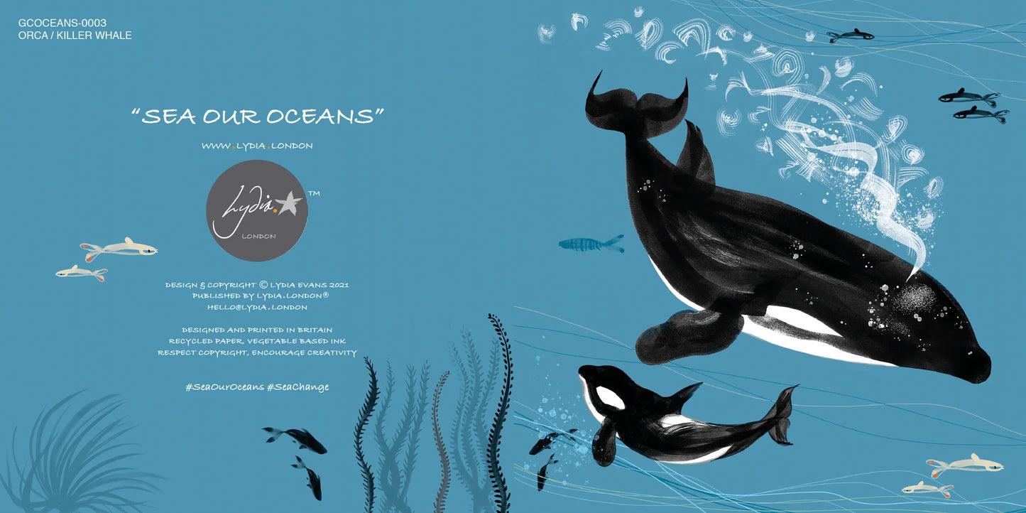 Lydia London - Orca Killer Whale Card
