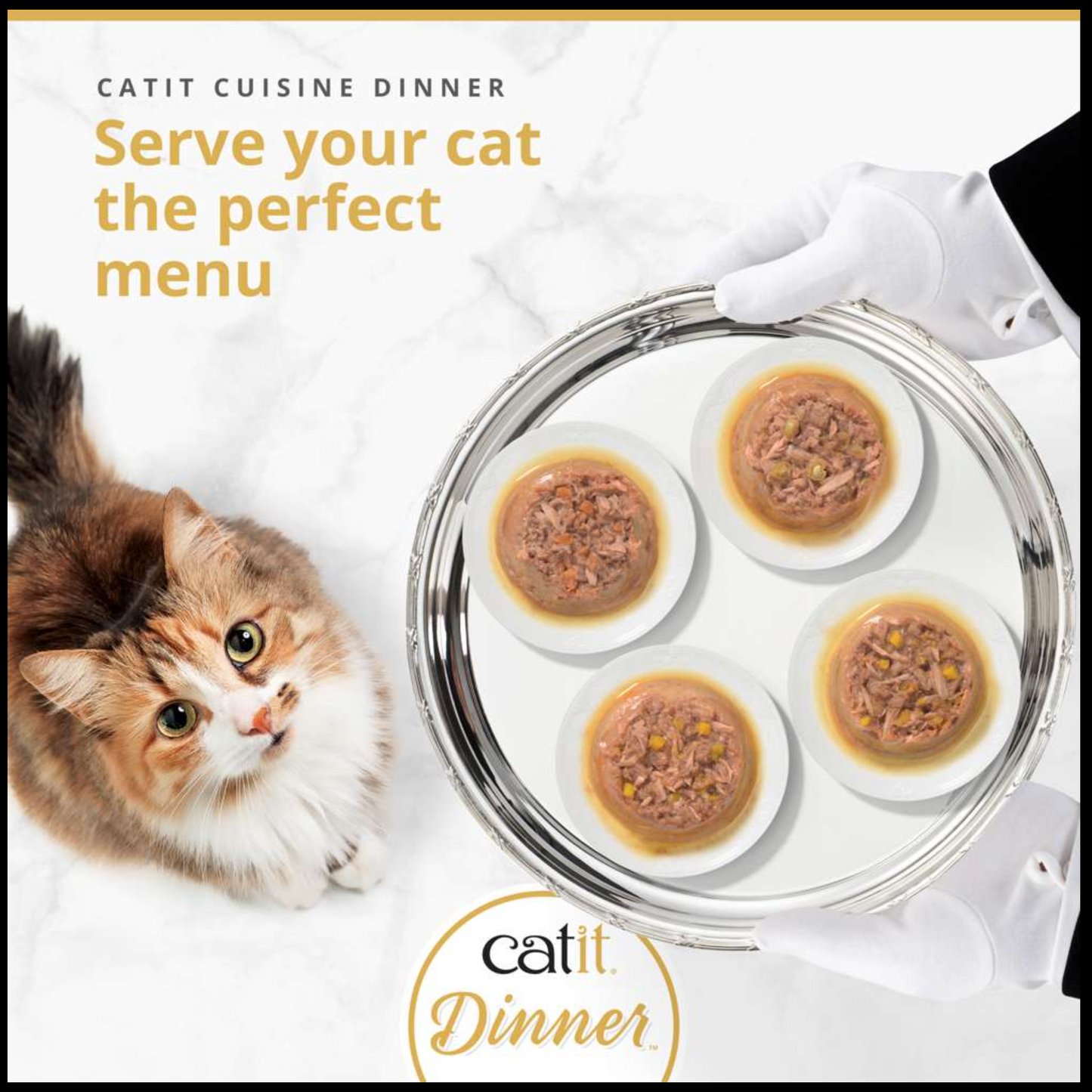 Catit Fish Dinner with Crab 75g