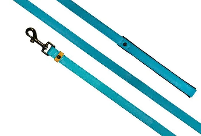 Sötnos Earth Aware Eco Lead Turquoise