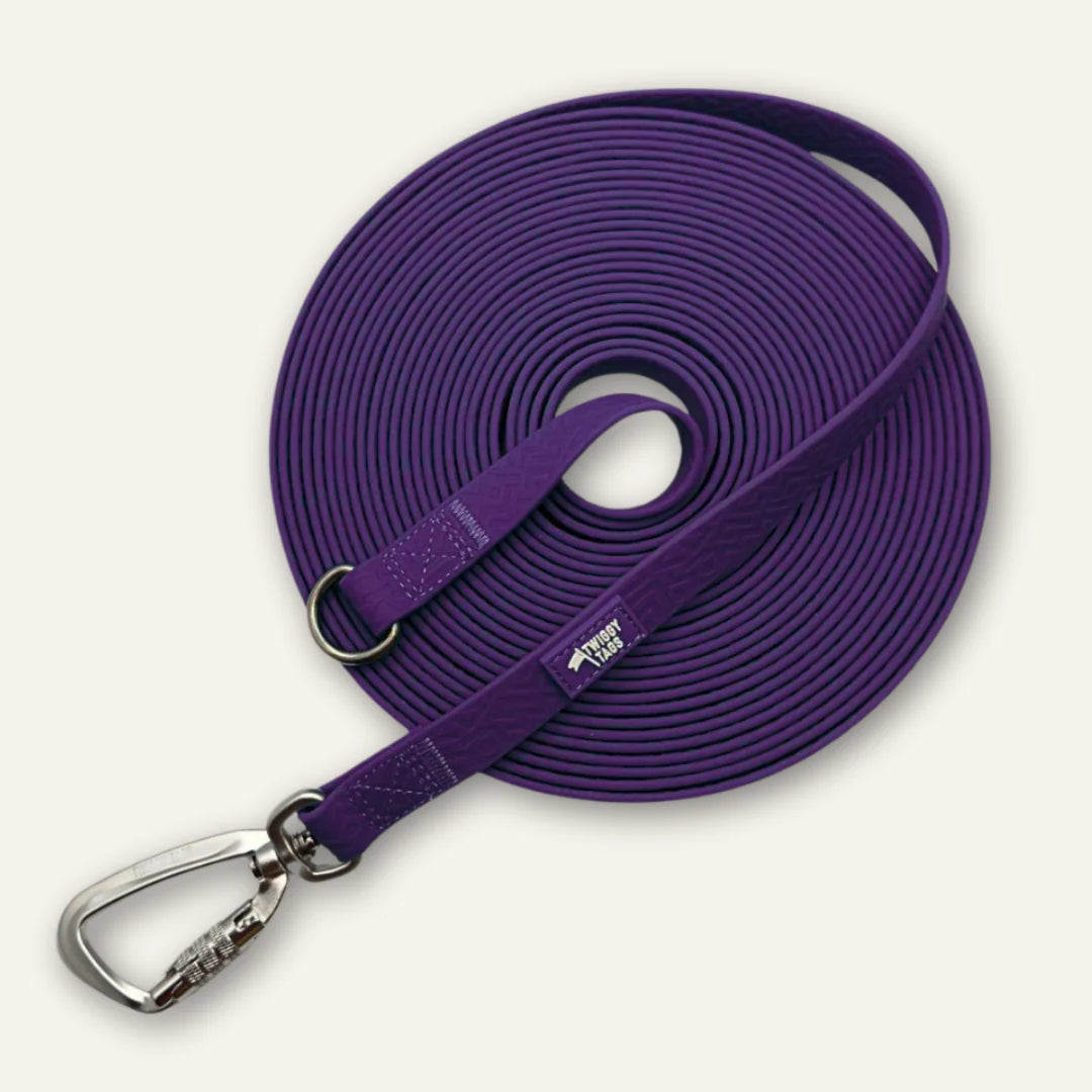 Twiggy Tags Tidal Longline Amethyst