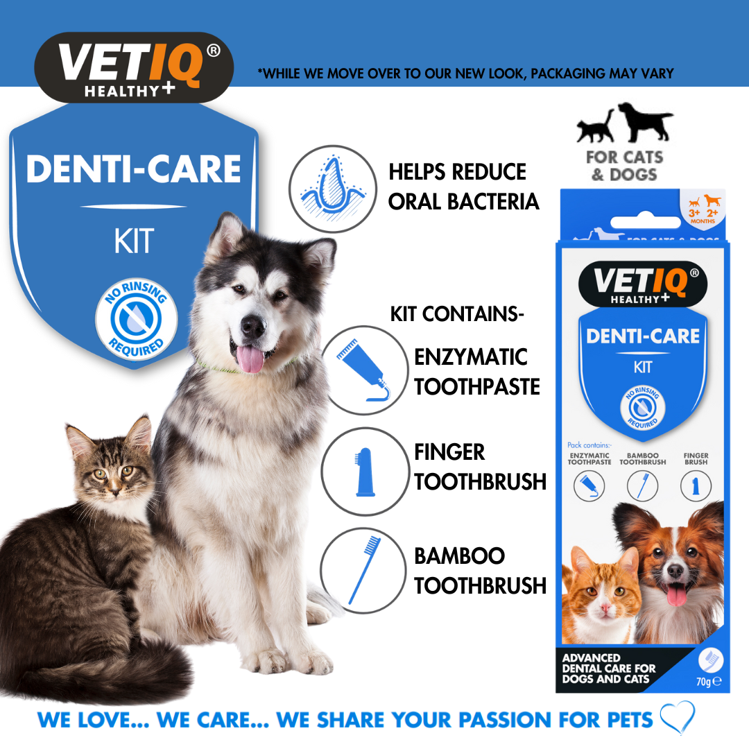 VETIQ Denti-Care Enzymatic Toothpaste 70g
