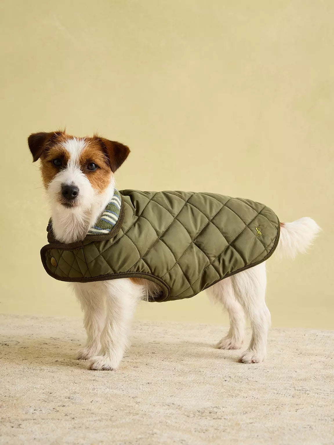 Joules Khaki Quilted Coat