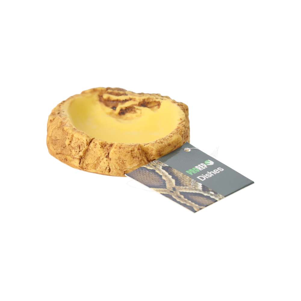 ProRep Easy Clean Pool - Small