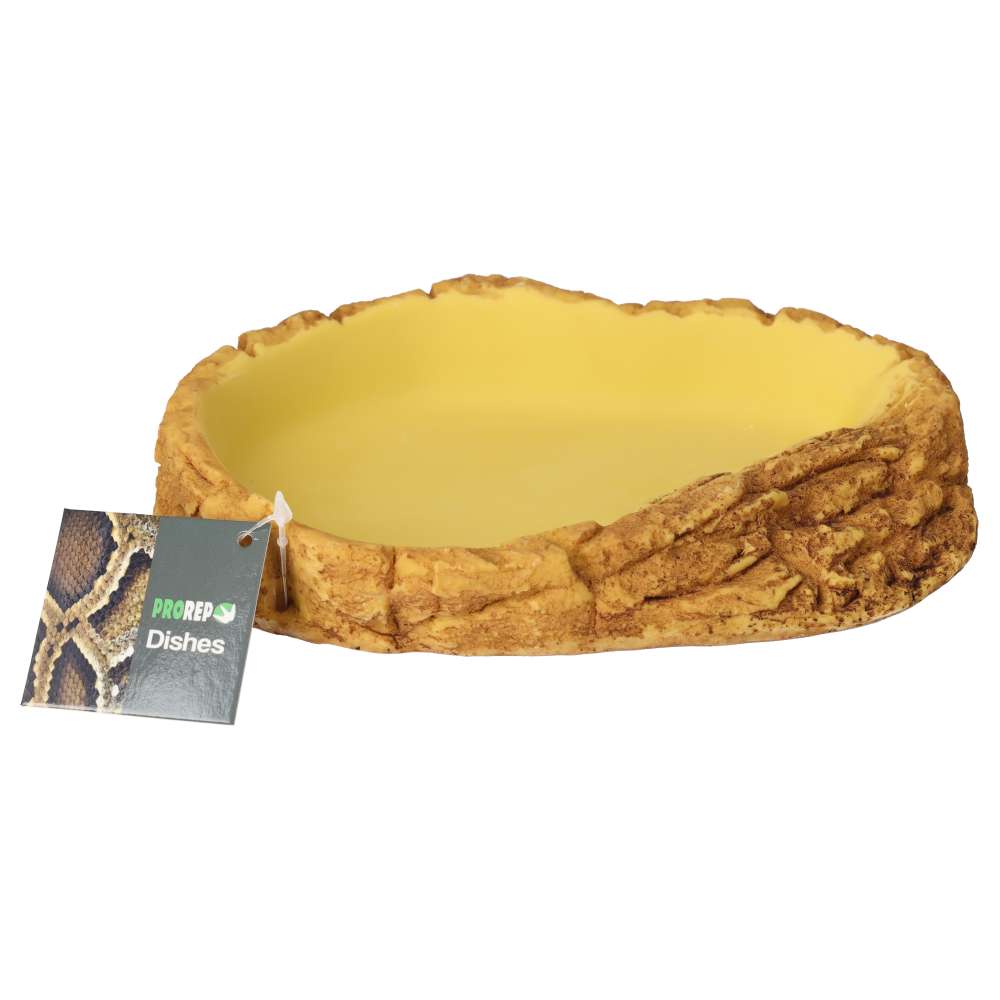 ProRep Easy Clean Pool