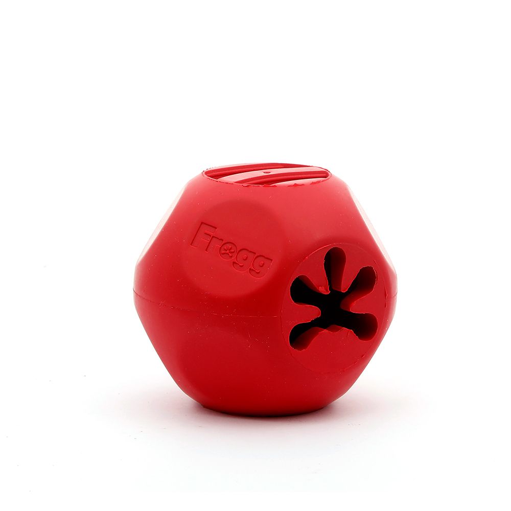 Frogg Bobbly Ball Dog Toy