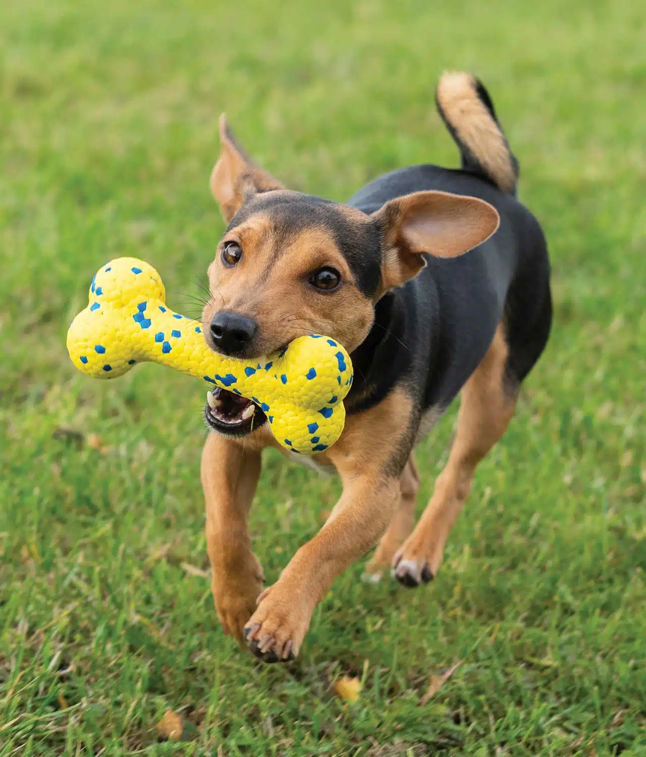 Nitro Bendy Bone 16cm