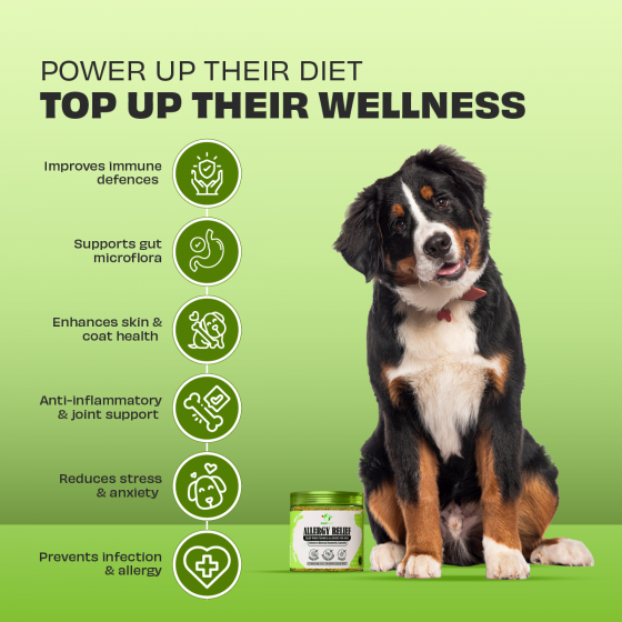 Pawfect Allergy Relief for Dogs Supplement 120g