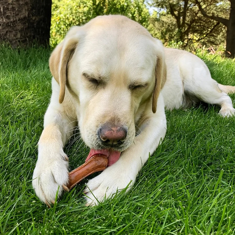 K2 Madeira Cheese Chew Chicken - XL 127g