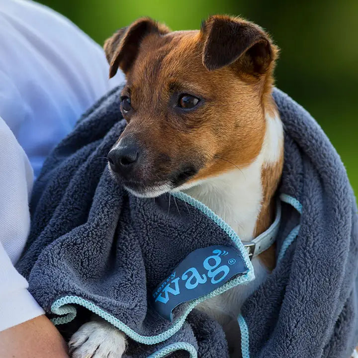 Henry Wag Microfibre Towel Large