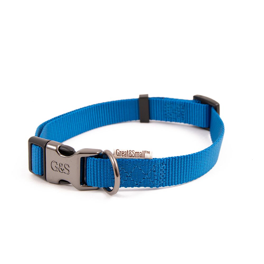 Great&Small Classic Collar Blue