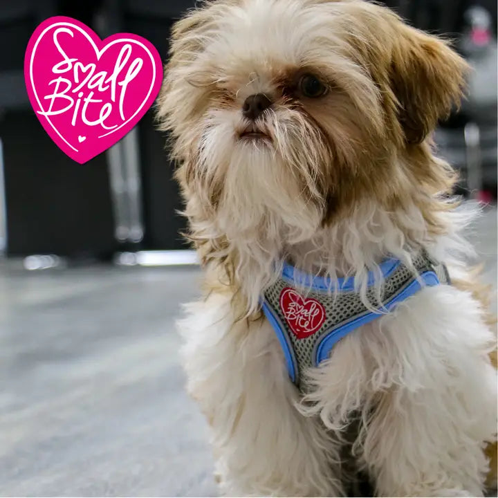 Small Bite Step-in-Harness Blue