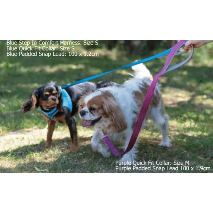 Ancol Step-In Harness Blue