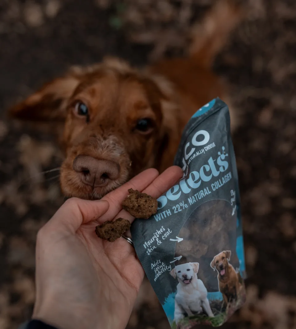 Anco Selects Bites Duck with Collagen 85g