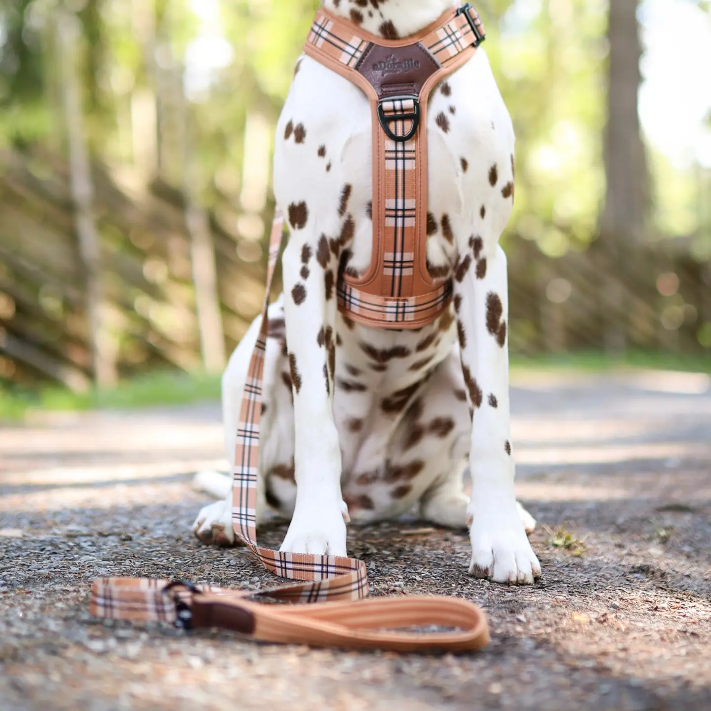 The aDoraBle Pooch Co. Heritage Lead - Butterscotch Biscuit