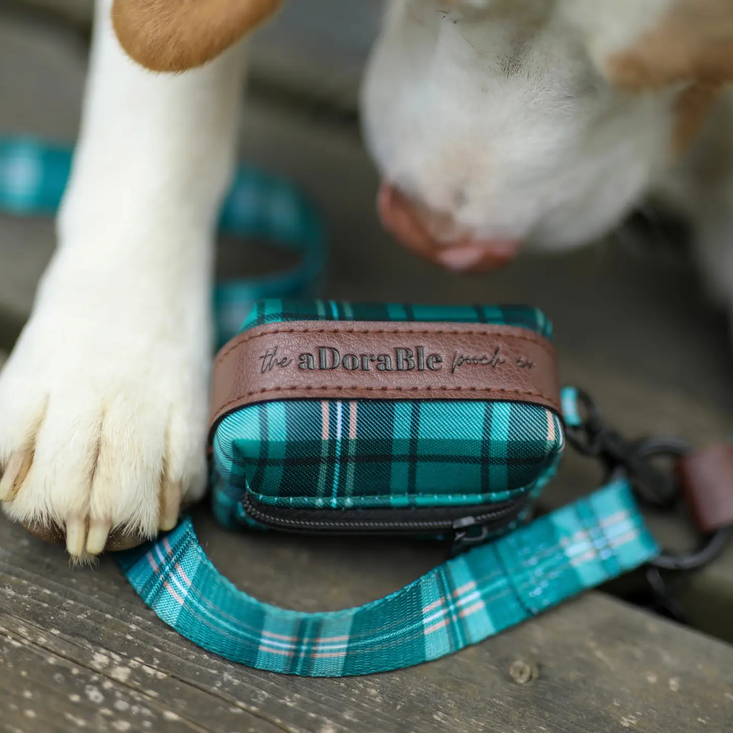 The aDoraBle Pooch Co. Heritage Poop Bag Holder - Pheasant Green