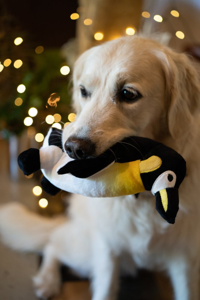 Petface Planet Plush Panuk Penguin