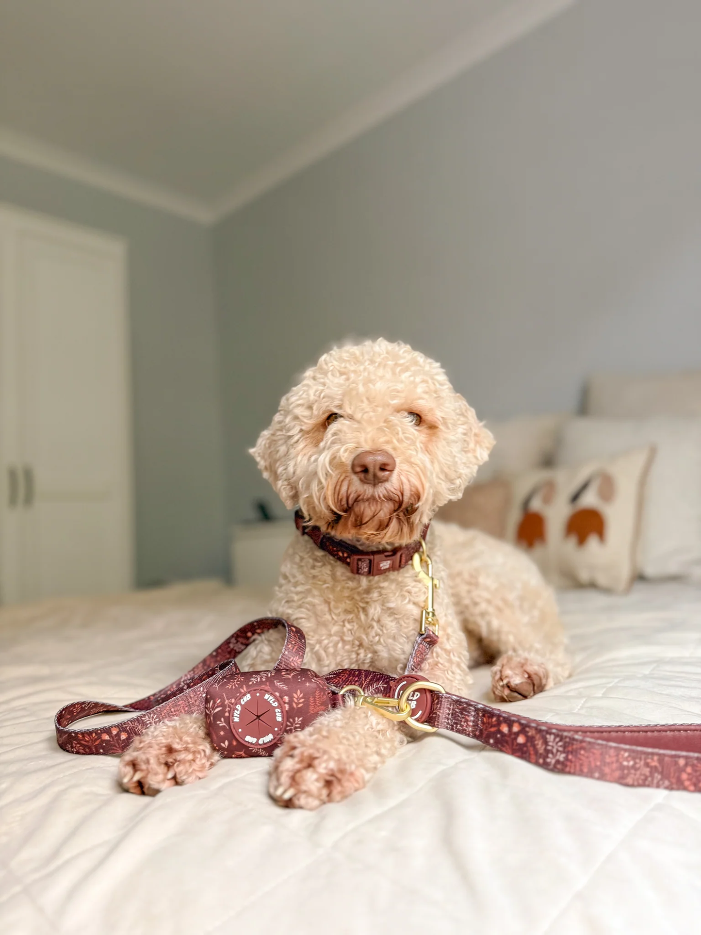 Wyld Cub Chiswick Lead 5ft - Chestnut