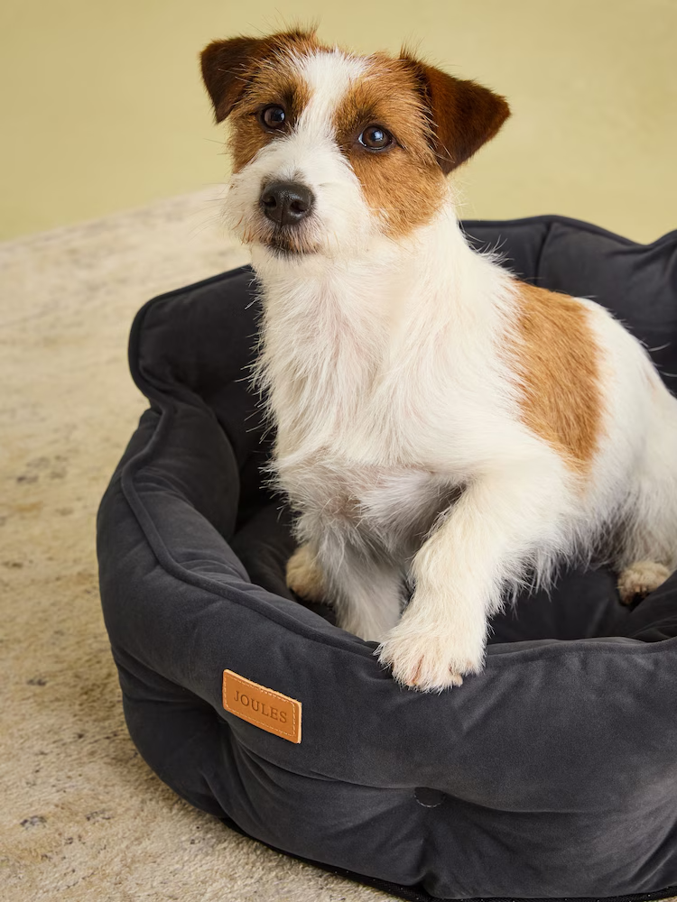 Joules Chesterfield Dog Bed Grey - Small