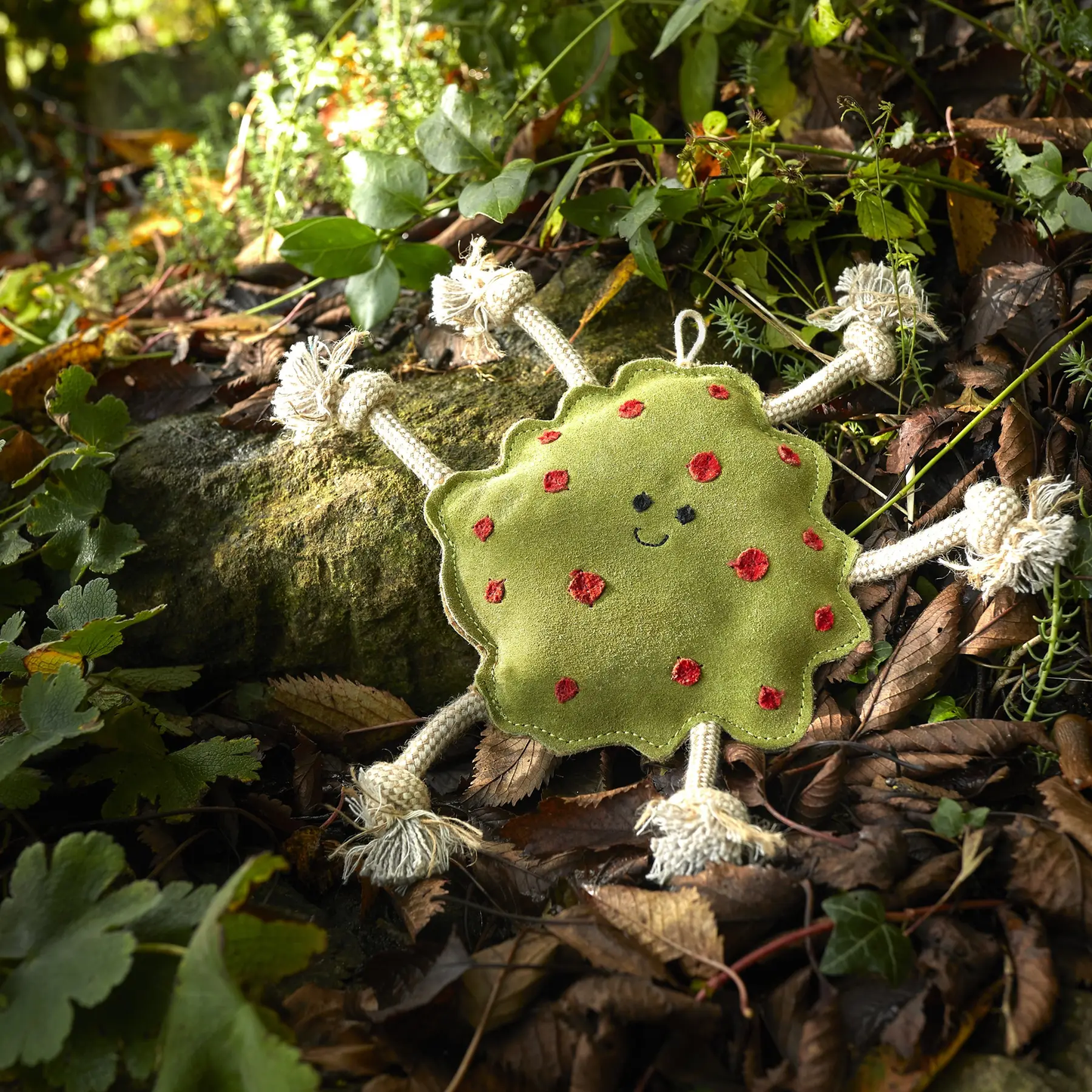Green & Wild's Splodge Eco Dog Toy