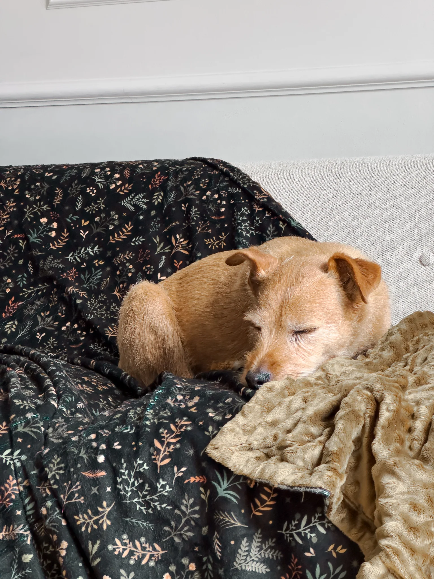 Wyld Cub Snuggle Pet Blanket - Chiswick Ravenwood
