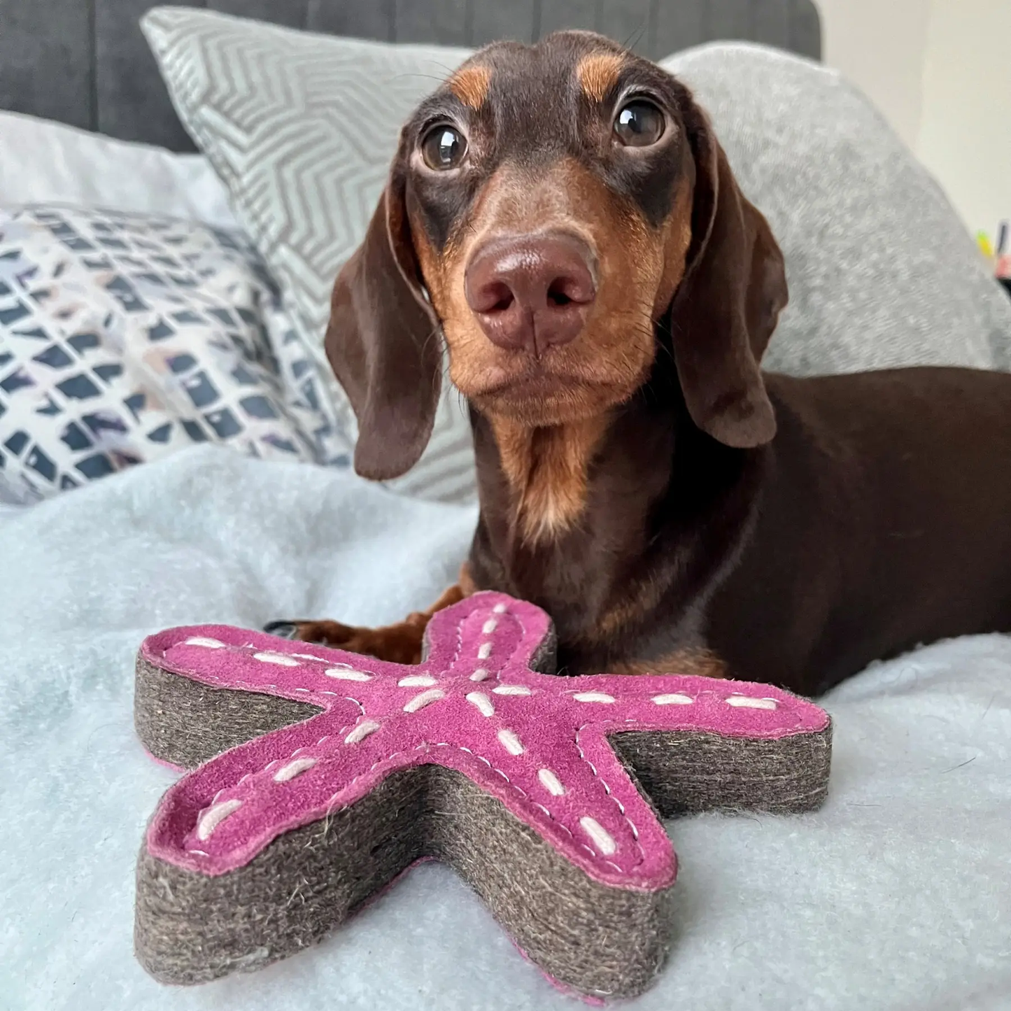Green & Wild's Stanley the Starfish Eco Toy
