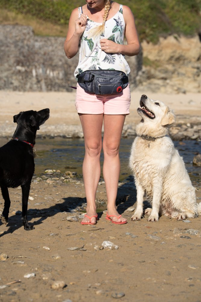 Petface Outdoor Paws Bum Bag