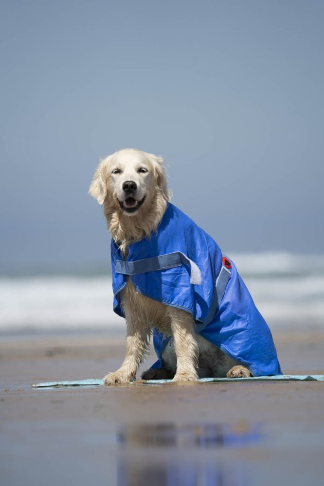 Petface Cooling Dog Coat -