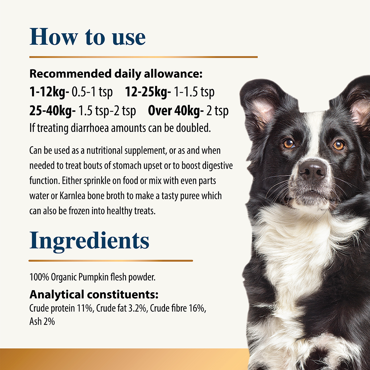 Karnlea Pumpkin Powder for Dogs 200g