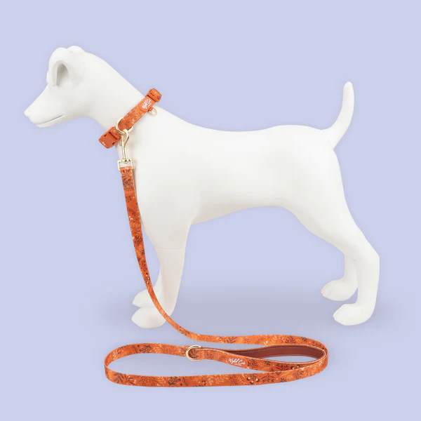 Wyld Cub Chiswick Lead 5ft - Ginger