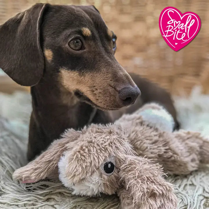 Small Bite Plush Rabbit